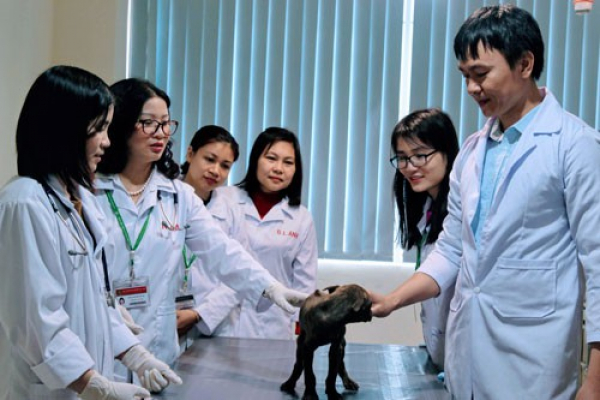 Pet Mart Đà Nẵng – Dịch vụ Thú cưng chuyên nghiệp ở Đà Nẵng